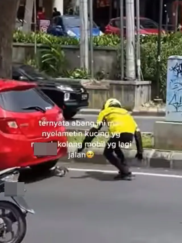 Driver ojol berlarian selamatkan kucing (Instagram/@memomedsos)
