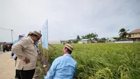 Petani Papua Terbang ke Gorontalo Demi Bertemu Prabowo dan Belajar Teknologi Pertanian
