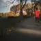 Jangan Remehkan Slow Jogging, Olahraga Ringan yang Punya Banyak Manfaat