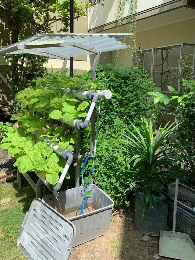 Kebun Devi Natalia