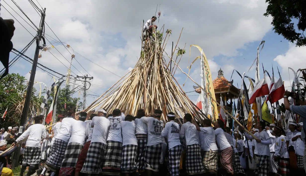 Seorang pria berada diatas puncak tongkat saat ritual Mekotek di Bali (11/11). Tongkat sekitar 3 meter itu melambangkan tombak perang dari besi yang dulu dipakai pasukan Kerajaan Mengwi. (AP Photo/Firdia Lisnawati)