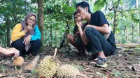 Sensasi menikmati buah durian langsung dari pohonya di Basecamp Bolokopi  Songgon Banyuwangi (Hermawan Arifianto/Liputan6.com)