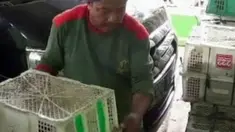 liputan6