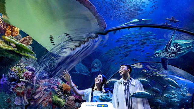 Potret Sea World Ancol (Sumber: Tiket.com)