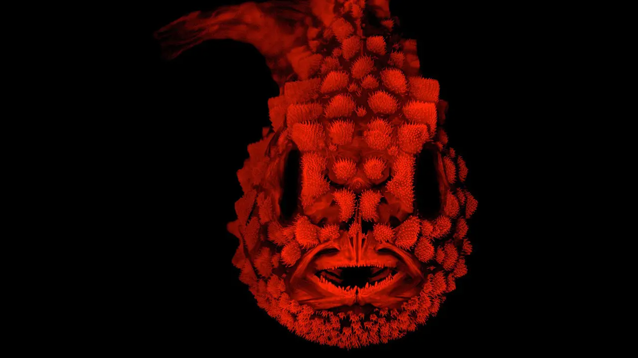 Ikan Pacific spiny lumpsucker yang menyeramkan. (Leo Smith/Kansas University)