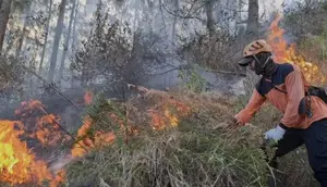 Hujan Deras Belum Cukup Padamkan Kebakaran Arjuna Welirang