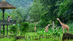 Orang-orang mengunjungi Kebun Binatang Negara dekat Kuala Lumpur, Malaysia, 19 Desember 2020. Kebun Binatang Negara kembali dibuka untuk umum setelah dua bulan ditutup berdasarkan perintah kontrol pergerakan bersyarat di area tersebut. (Xinhua/Chong Voon Chung)