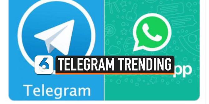 VIDEO: Whatsapp Paksa Pengguna Serahkan Data Pribadi ke Facebook, Warganet Lirik Telegram