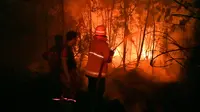 Petugas pemadam kebakaran memadamkan api saat kebakaran hutan dan lahan (karhutla) di Pekanbaru, Riau, Jumat (13/9/2019). Karhutla menyebabkan kabut asap pekat menyelimuti Pekanbaru. (ADEK BERRY/AFP)