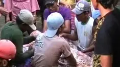 liputan6