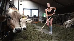 Caroline, seorang gadis petani Bavaria berpose di sebuah peternakan di Apfeldorf, Jerman Selatan, Rabu (22/6). Pemotretan gadis ini untuk sampul kalender 2017 yang juga sebagai penghormatan para petani perempuan di Bavaria. (Christof Stache/AFP)