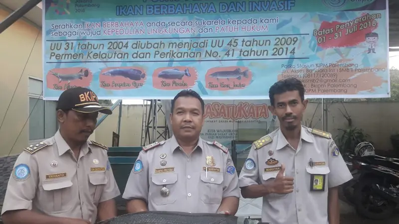 Dua Ekor Ikan Aligator Ditemukan Warga Kabupaten OKI di Perairan Sungai Musi