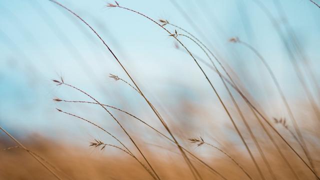 Ilustrasi angin, inspirasi