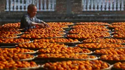 Seorang warga menata buah kesemek yang dijemur di atap rumahnya di Desa Anxi, Fujian, selatan China, 13 Desember 2016. Sejumlah warga memanfaatkan atap rumah mereka untuk mengeringkan kesemek yang akan dijadikan manisan. (REUTERS/Stringer)