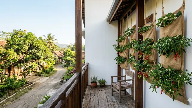 Inspirasi Kebun Buah Berbunga di Teras