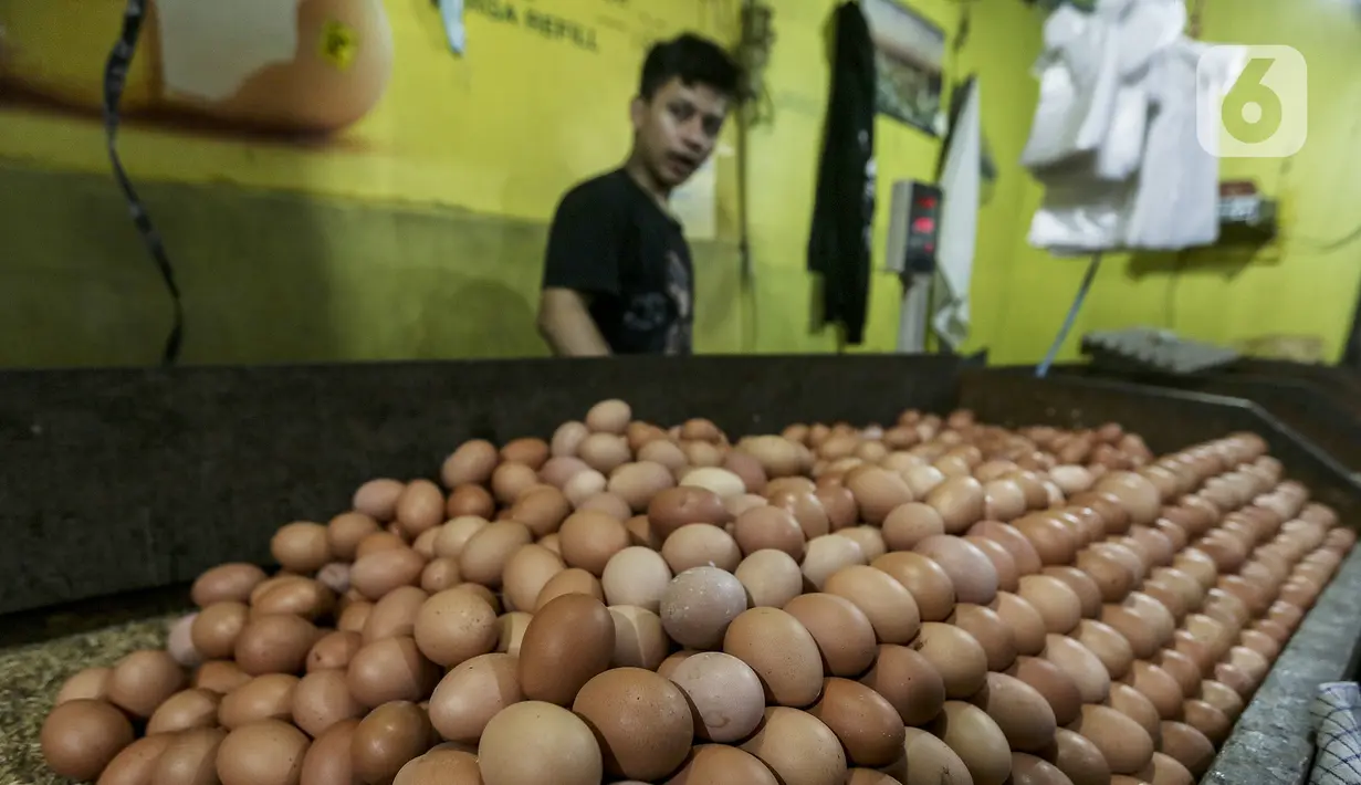 Tumpukan telur ayam ras yang dijual di salah satu stan Pasar Kebayoran Lama, Jakarta, Selasa (29/12/2020). Dinas KPKP Provinsi DKI Jakarta menyiapkan operasi pasar guna mengendalikan harga pangan, salah satunya telur ayam yang mengalami kenaikan jelang Tahun Baru 2021. (Liputan6.com/Johan Tallo)