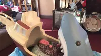 Bayi tertidur pulas saat masuk mulut seekor hiu, bagaimana bisa?