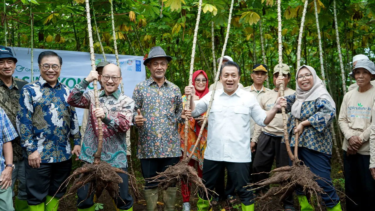 Singkong berhasil diolah menjadi produk inovatif, termasuk bioplastik ramah lingkungan yang telah diekspor ke pasar global, seperti Jepang.
