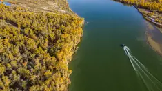 Foto dari udara yang diabadikan pada 22 Oktober 2020 ini menunjukkan pemandangan musim gugur hutan poplar gurun (populus euphratica) di sepanjang Sungai Tarim di Wilayah Xayar, Daerah Otonom Uighur Xinjiang, China barat laut. (Xinhua/Hu Huhu)
