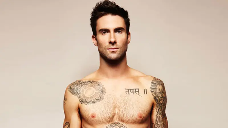 adam-levine-131122b.jpg