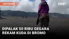 Rekam Kuda di Gunung Bromo, Wisatawan Dipalak 50 Ribu