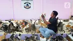 Pendiri Rumah Singgah Clow Bim Bim merawat kucing lokal terlantar di rumah penampungan kucing dan anjing terlantar Clow di kawasan Parung, Bogor, Jawa Barat, Kamis (22/9/2022). Saat ini, ada sekitar 1.300 kucing lokal yang terlantar di jalanan dipelihara di rumah penampungan ini. (merdeka.com/Arie Basuki)