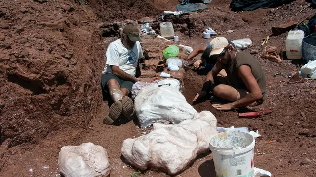 Fosil Dinosaurus Raksasa di Argentina