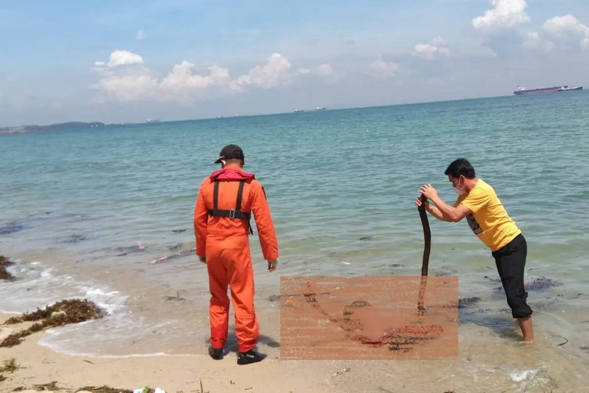 Korban Kecelakaan Kapal