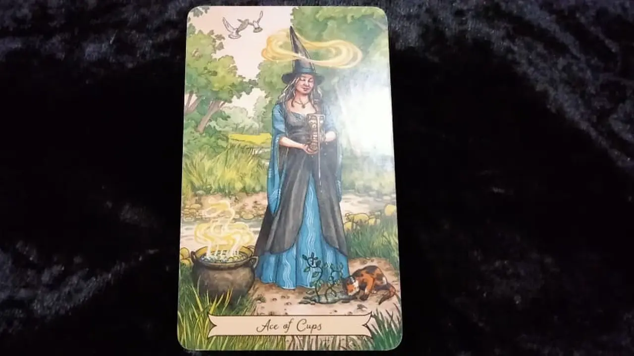 Tarot
