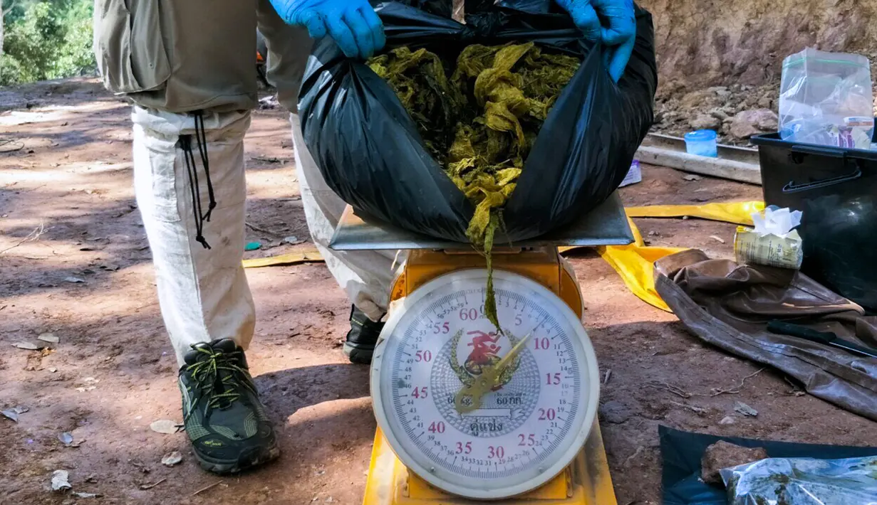 Gambar yang diambil 25 November 2019, dokter hewan menimbang sampah plastik yang ditemukan dalam perut rusa di Taman Nasional Khun Sathan, Thailand. Rusa liar berumur 10 tahun itu ditemukan mati setelah menelan 7 kilogram kantong plastik dan sampah lain. (HO/Office of Protected Area Region 13/AFP)