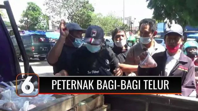 Puluhan peternak ayam di Magetan Jawa Timur, membagikan telur gratis sekitar 700 kantong plastik yang berisikan 0,5 kilogram telur. Hal ini dilakukan sebagai bentuk protes atas lambannya pemerintah menyikapi anjloknya harga telur.