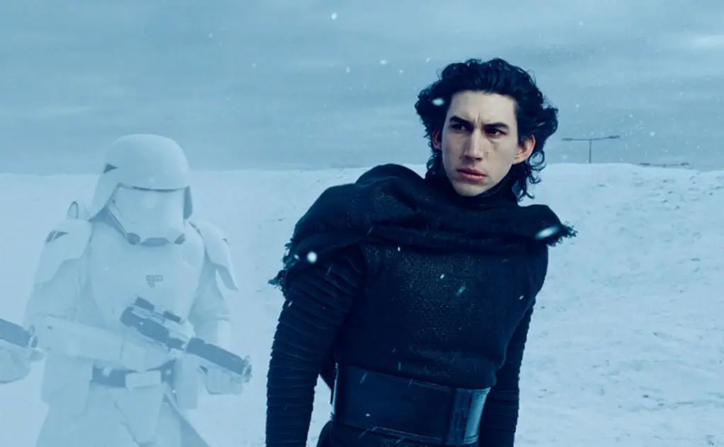 Nah ini si Adam Driver alias Rylo Ken. (Via: boredpanda.com)