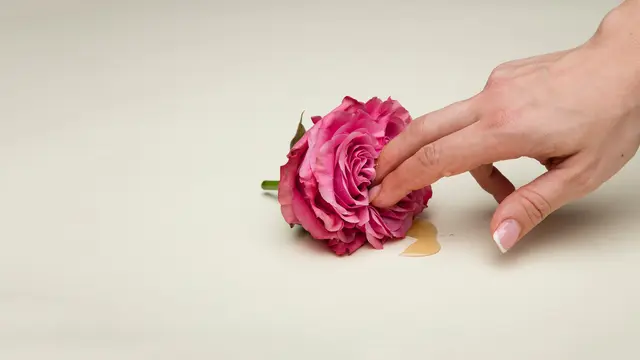 5 Cara Merawat dan Menjaga Kesehatan Vagina agar Terhindar dari Infeksi