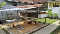 9 Model Kandang Ayam Rumahan yang Tidak Bau dan Mudah Dibersihkan, Solusi Ternak Higienis