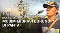 Kawasan Pantai Trisik di Kulon Progo, Yogyakarta, menjadi tempat singgah yang nyaman bagi aneka burung migran. Tingkat kunjungan wisatawan, termasuk pengamat burung dari berbagai belahan dunia, pun meningkat.