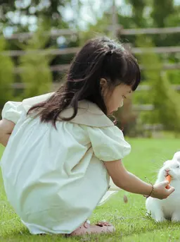 Anak tengah adalah si pendamai bijak yang penuh kejutan dan pesona tersembunyi. (Foto: Jupilu/Pixabay)