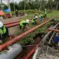 Karyawan PLN mengangkat tiang untuk membangun jaringan listrik di pedesaan Riau. (Liputan6.com/M Syukur)