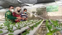 Gandeng Emak-Emak PKK, Kampung Hidroponik Menjalar di Surabaya