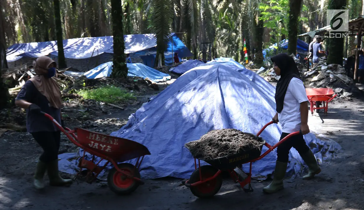 Pekerja dari kelompok tani mekar jaya binaan PT Wirakarya Sakti unit forestry APP Sinarmas mengangkut pupuk kompos di Kab Tanjung Jabnung Barat, Jambi, Kamis (3/5). Usaha pupuk kompos tersebut mampu hasilkan 100 ton perbulan. (Liputan6.com/Angga Yuniar)