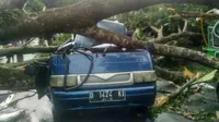 Pohon tumbang terjadi di beberapa titik di jalan raya di Sukabumi. Foto: (Mulvi Mohammad/Liputan6.com)