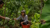 Inovasi Produksi Superfood Berbasis AI dari Indonesia Raih Pendanaan Food for Tomorrow 2026