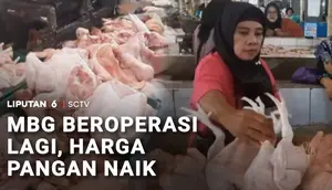 MBG Beroperasi Lagi, Harga Pangan Naik
