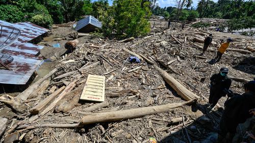 Tidak Hanya Manusia, Gajah Pun Jadi Korban Bencana Banjir Aceh