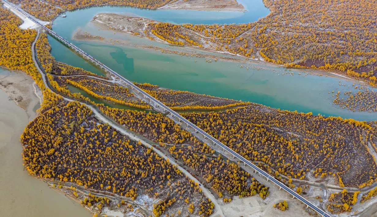Foto dari udara yang diabadikan pada 22 Oktober 2020 ini menunjukkan pemandangan musim gugur hutan poplar gurun (populus euphratica) di sepanjang Sungai Tarim di Wilayah Xayar, Daerah Otonom Uighur Xinjiang, China barat laut. (Xinhua/Hu Huhu)