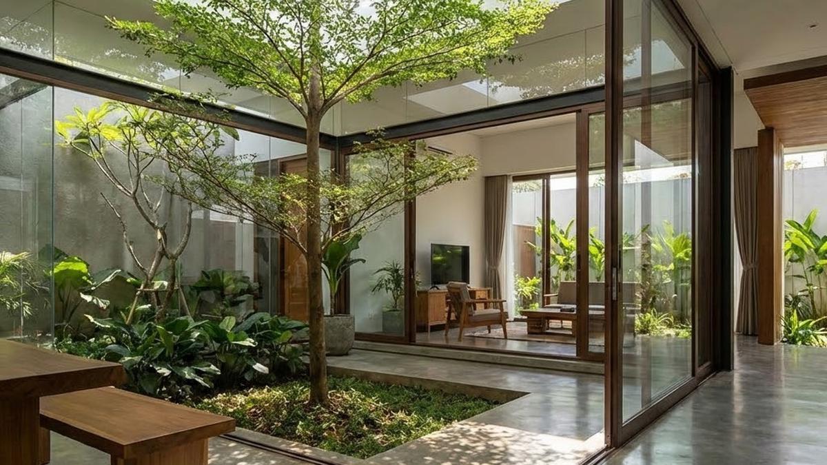 21 Jenis Pohon Teduh yang Bisa Ditanam di Taman dalam Rumah, Mudah Dirawat