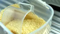 7 Cara Menyimpan Beras di Cuaca Panas dan Lembap agar Tetap Awet, Dijamin Bebas dari Kutu