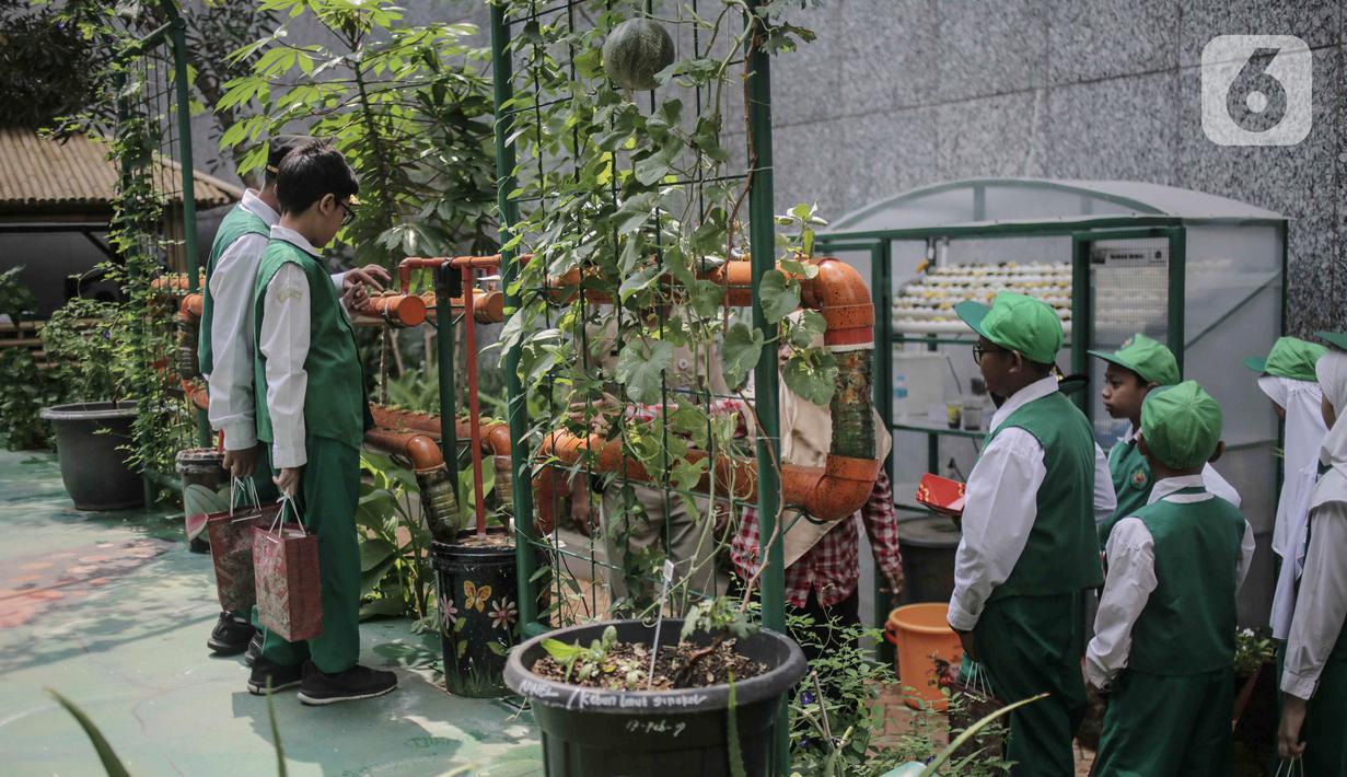 Foto Antusiasme Para Murid Sd Belajar Mengenal Hidroponik News