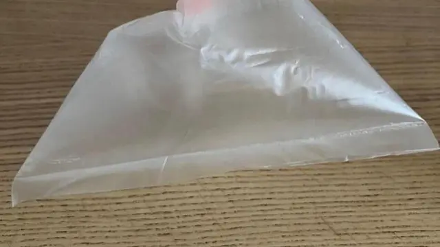 Wow, Kantong Plastik Berisi Napas Billie Eilish Dijual Penggemar Seharga Rp159 Juta