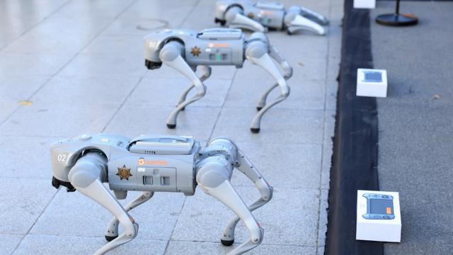 Robot anjing, Piala Dunia 2026