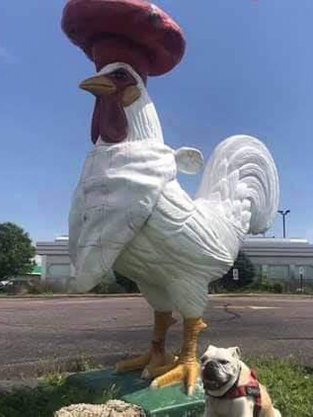 Patung Ayam Raksasa Hilang, Pemilik Restoran Gelar Sayembara Berhadiah Rp14 Juta